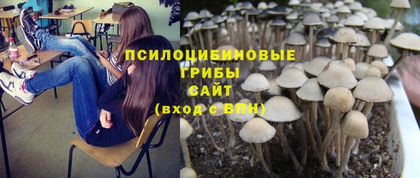 спайс Богородицк