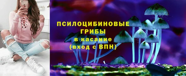 спайс Богородицк